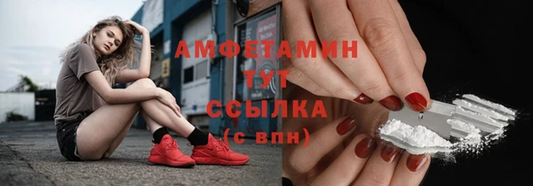 мет Алексин