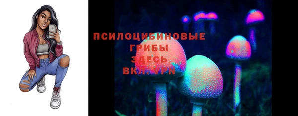 мет Алексин
