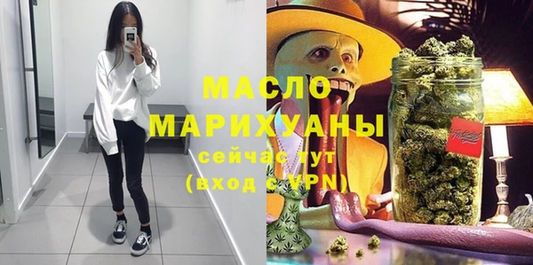 мет Алексин