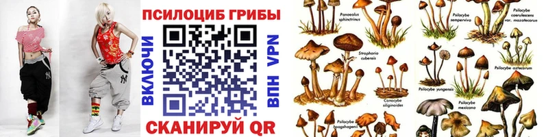 Галлюциногенные грибы прущие грибы Кукмор